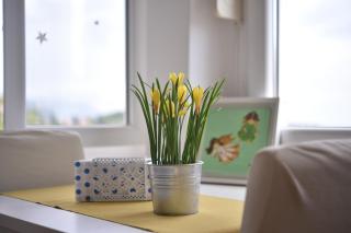 The Dream On Apartment - Dubrovnik - 0