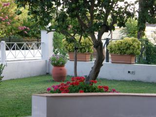 Hotel Aki - Loutra Edipsou - 5