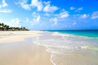 Casa Alessandra 1bdr - Palm-Eagle Beach - 7
