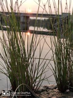 La Facera, Cabañas de Madera - 5