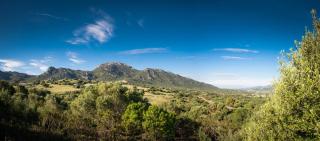 Case Vacanze S'Arrexina - Rudalza - 0