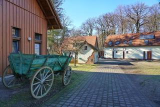 Ferienwohnung 1 - Gourmetzimmer - Bestensee - 2