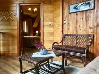 Chalet de Montaña-Espacio y Tiempo - 1