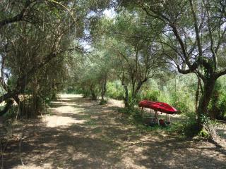 Elaionas - Ierissos - 7