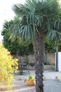 Apartmani Dieneš - Novi Vinodolski - 4