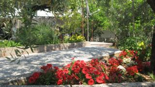 Apartments Maslina - Trogir - 5