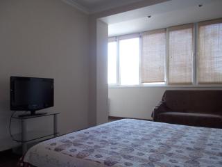 Апартаменты проспект Победы, Цирк - 7