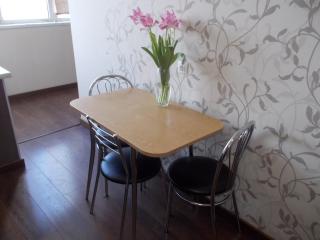 Апартаменты проспект Победы, Цирк - 5