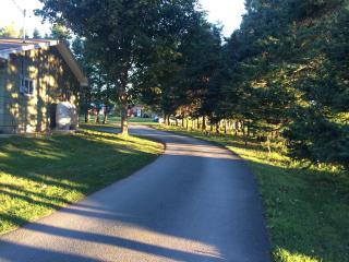 Rachel's Motel and Cottages - 3