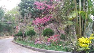 Ruyi Yuan Homestay - Tongxiao - 7