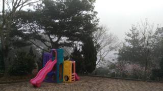 Ruyi Yuan Homestay - Tongxiao - 8