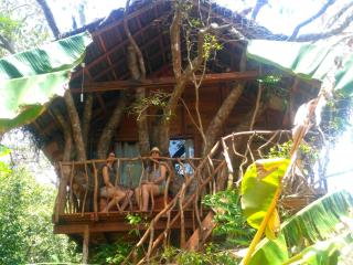 Habarana Tree House Ambasewana Resort - Habarana - 5