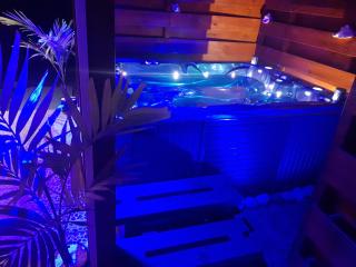 L'ALIZÉE & SPA Jacuzzi privatif haut de gamme - Sainte-Rose - 5