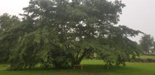 Fairway Inn - Berryville - 5