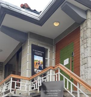 Birdsnest Hostel Hongdae Foreigner only - Seul - 5
