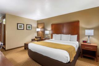 Comfort Inn & Suites Springfield I-44 - 4