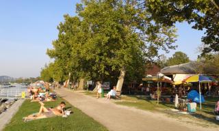 Diana nyaralo - Balatonfenyves - 5