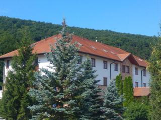 Hotel Hunor - Sátoraljaújhely - 8