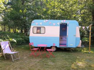 Camping Bois de St Hilaire - Chalandray - 6