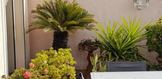 dupleix U Forcone - Ajaccio - 6