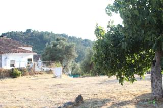 Casas Rurales Los Montes - La Corte - 2