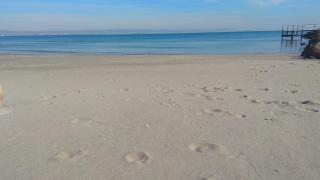 Grand Apartment Pomorie - Pomorie - 6