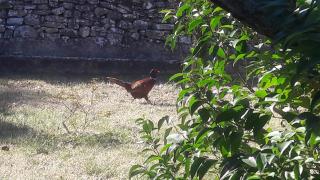 Bastide de Fanny - Rognes - 1