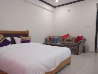 Green Roof Hotel - Nainital - 9