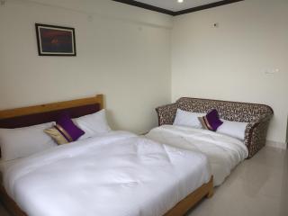 Green Roof Hotel - Nainital - 8