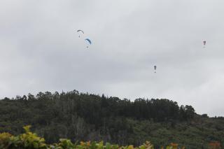 Hubbs Place - Sedgefield - 3