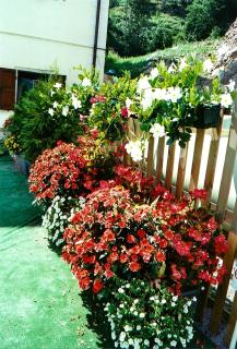 Residence Sugrac - 6