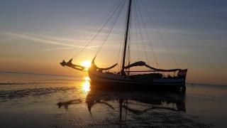 tjalkjacht pelikaan enkhuizen - Enkhuizen - 0