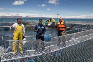 Yacht Lago Titicaca - Ichu - 5