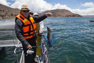 Yacht Lago Titicaca - Ichu - 4