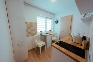 Urban Living Apartment - Timişoara - 8