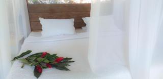 Minca Glamping - Minca - 8