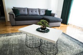 Tania Apartament - Oradea - 0