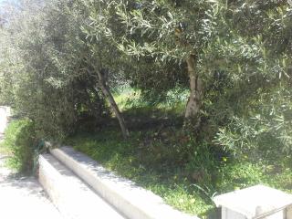 Villa Solinas - Sorso - 7