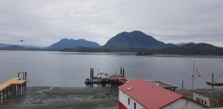 Tofino Paddlers Inn - Tofino - 4