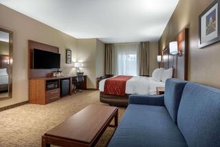 Comfort Inn & Suites Montgomery East Carmichael Rd - Montgomery - 2