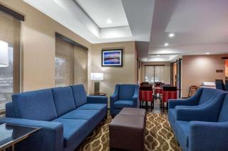 Comfort Inn & Suites Montgomery East Carmichael Rd - Montgomery - 4