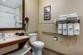 Comfort Inn & Suites Montgomery East Carmichael Rd - Montgomery - 4