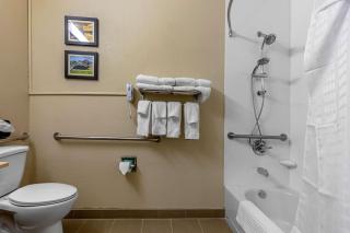 Comfort Inn & Suites Montgomery East Carmichael Rd - Montgomery - 7