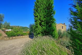 Tenuta Canina - Montalcino - 1