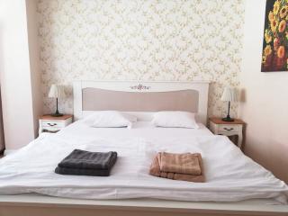 Casa Gloria Sibiu - Sibiu - 5