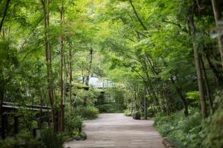 Kurokawa Onsen Oku no Yu - Minamioguni - 1