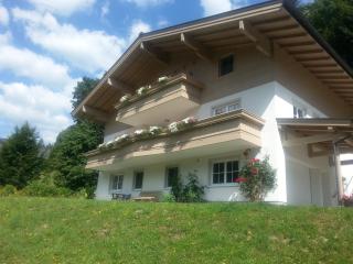 Apartments Köhlbichler - Viehhofen - 6