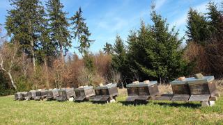 Ferienwohnung Grüngut - 6