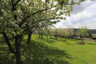 Gorce apartamenty i pokoje - Rabka-Zdrój - 3