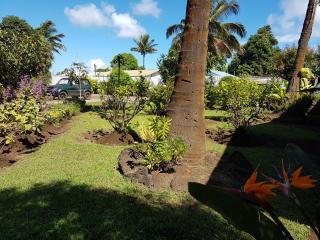 Hotel Manutara - Hanga Roa - 3